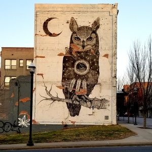 Meet your Posher, Blythe